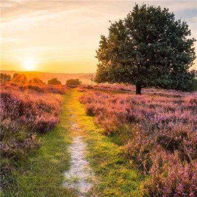 万博max体育(ManBetX)截图